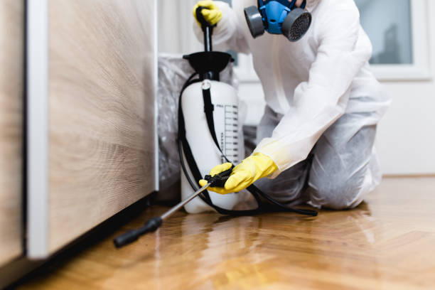 Pest Control Cost in Aiea, HI