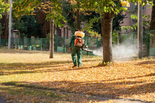 Best Wildlife Control Services  in Aiea, HI