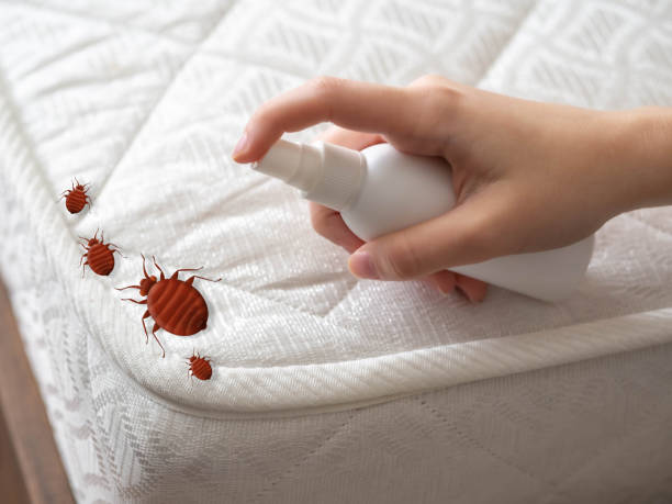 Best Commercial Pest Control Services  in Aiea, HI