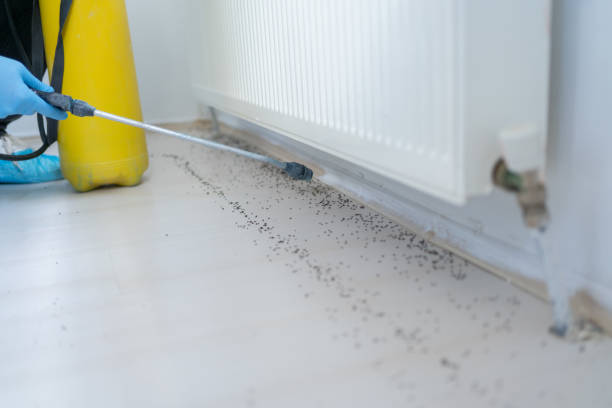 Best Best Pest Control Companies  in Aiea, HI