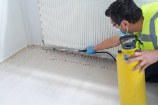 Best Pest Inspection Near Me  in Aiea, HI